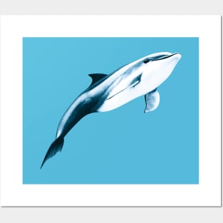 Dolphin Posters and Art
